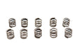 Eastern Handlebar Throttle Clamp Screw Spring