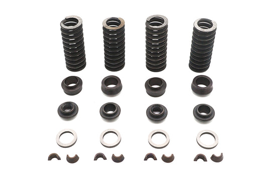 Eastern Valve Spring Kit - additional view 2