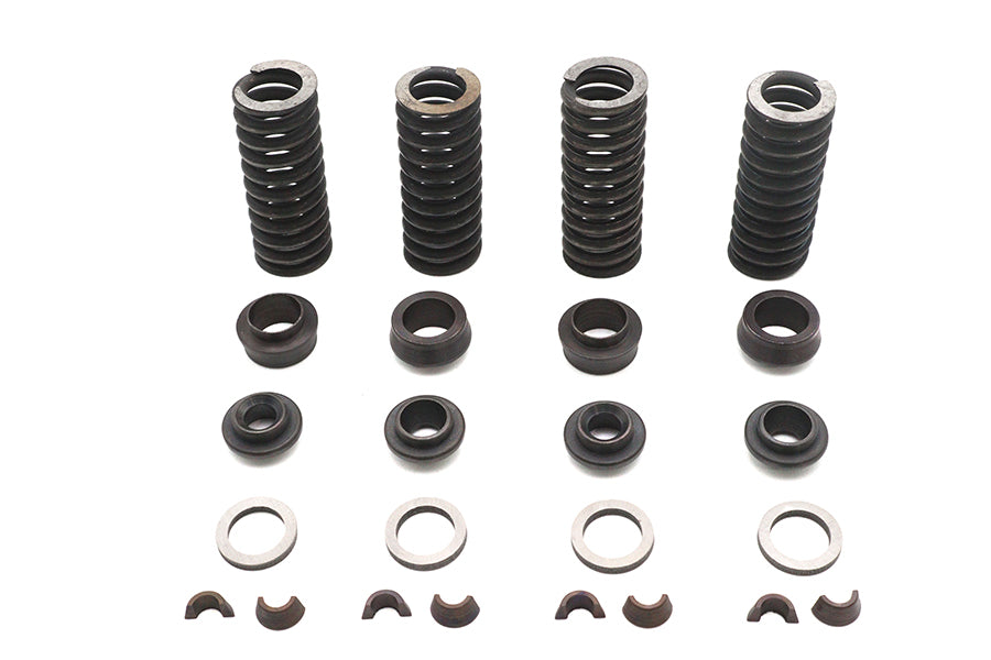 Eastern Valve Spring Kit - additional view 2