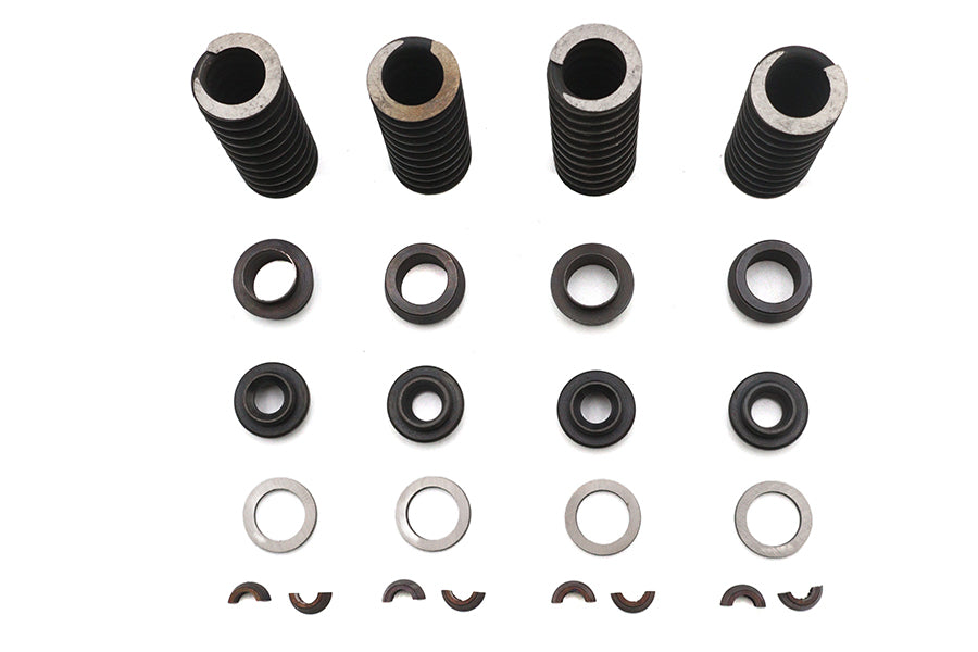 Eastern Valve Spring Kit - additional view 3