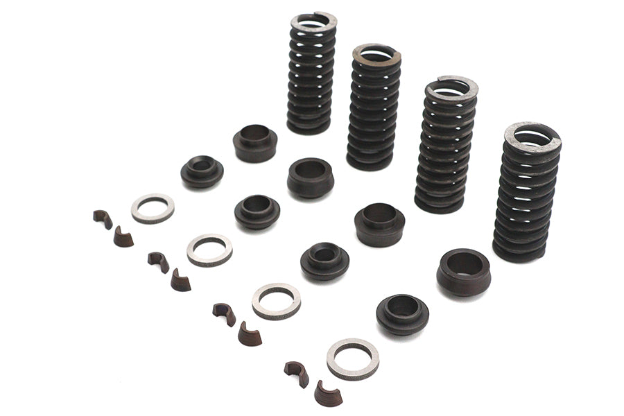 Eastern Valve Spring Kit - additional view 4