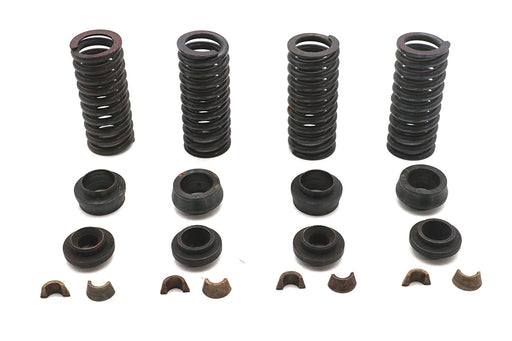 Eastern Valve Spring Kit - additional view 2