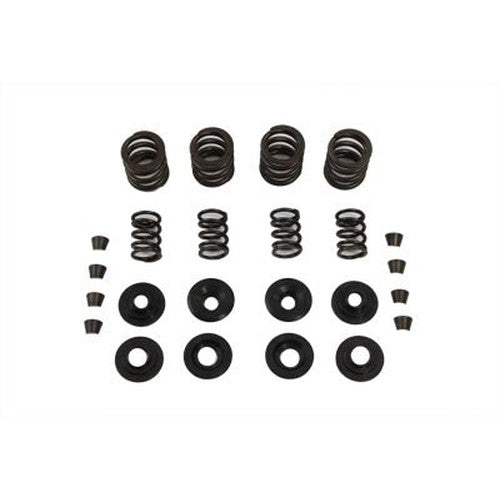 Sifton Valve Spring Kit - Sifton 15-0063 - Ironhead 1957-1981