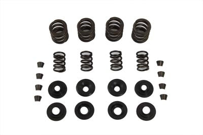 Sifton Sifton Valve Spring Kit