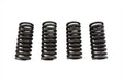 Eastern Valve Spring Set