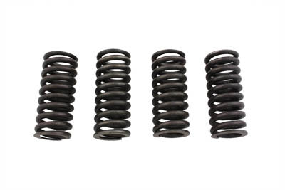 Eastern Valve Spring Set