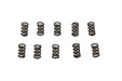 Eastern Carburetor Idle and Adjuster Screw Spring