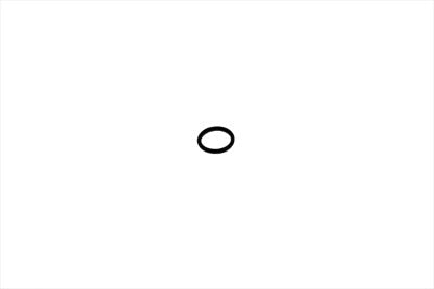 Eastern Starter Coupler O-Ring