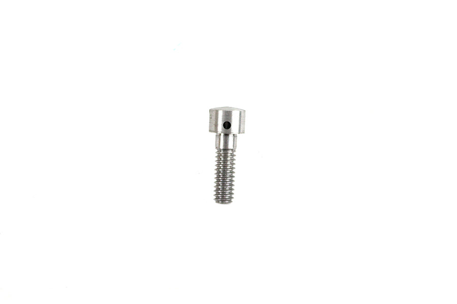 V-Twin Manufacturing Transmission Case Vent Screw Zicad Plated