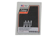 Colony D-Ring Chrome Rocker Arm Cover Screw Set - additional view 2