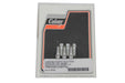 Colony D-Ring Cadmium Rocker Arm Cover Screw Set - additional view 2