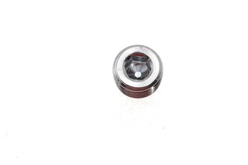 Ultima Ultima RSD 6-Speed Access Door Set Screw - additional view 2