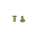 Brake Lining Rivets Short Brass - V-Twin 37-8805 - Sportster 0+