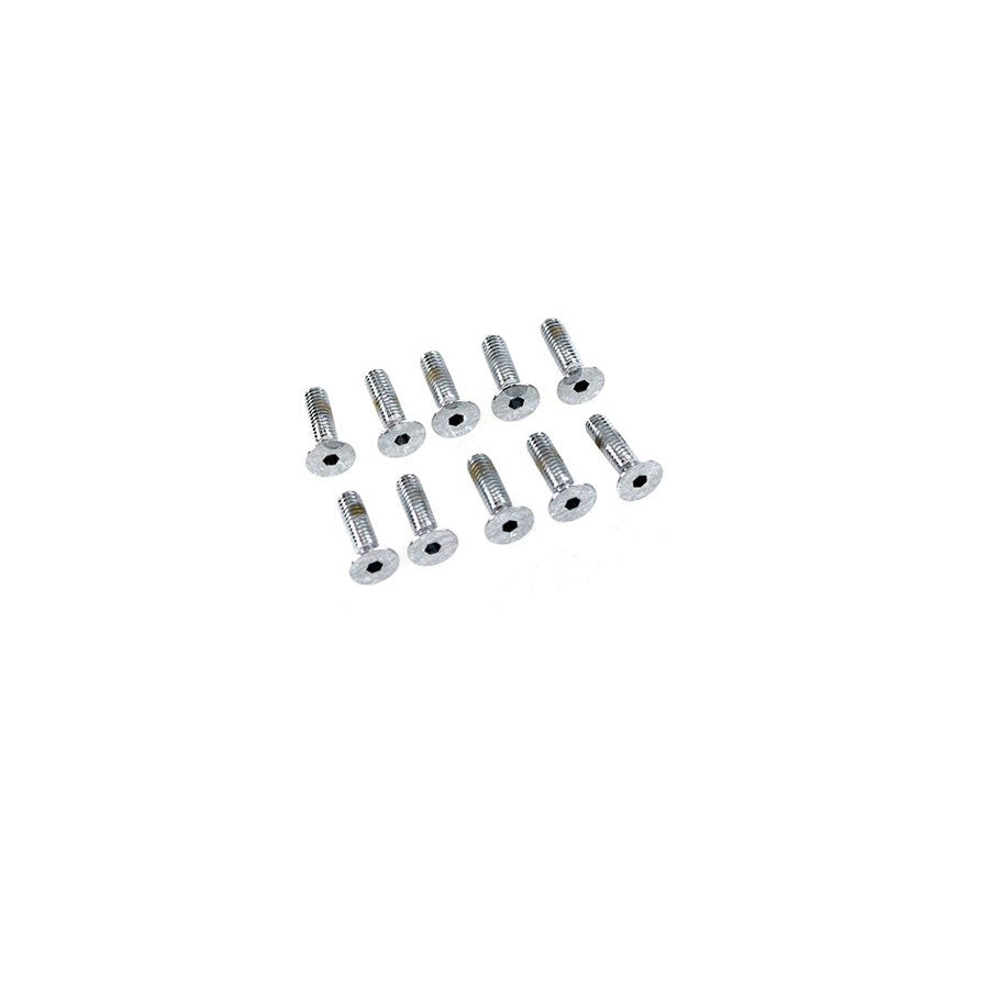 Handlebar Master Cylinder Cover Screw - V-Twin 37-8948 - OEM 2579