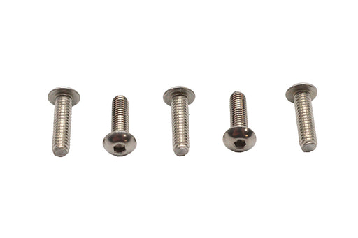 Colony Allen Button Head Screws Stainless Steel 1/4-20 X 7/8",Y
