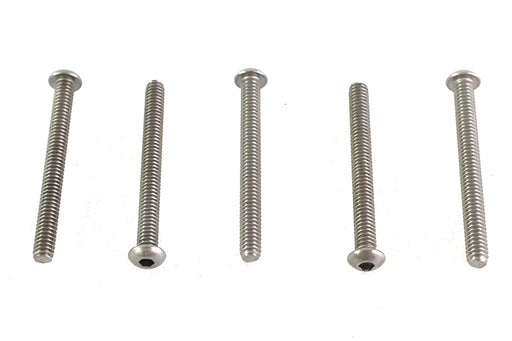 Colony Allen Button Head Screws Stainless Steel 1/4-20 X 2-1/2",Y