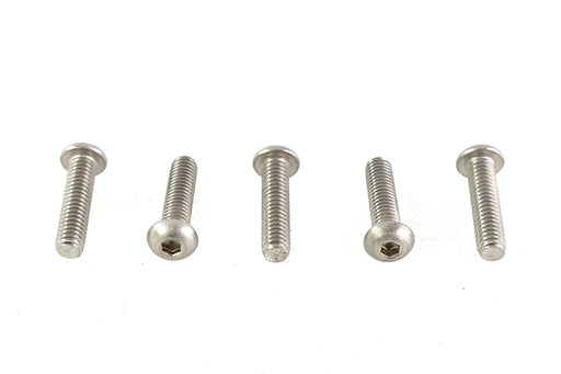 Colony Allen Button Head Screws Stainless Steel 5/16-18 X 1-1/4",Y