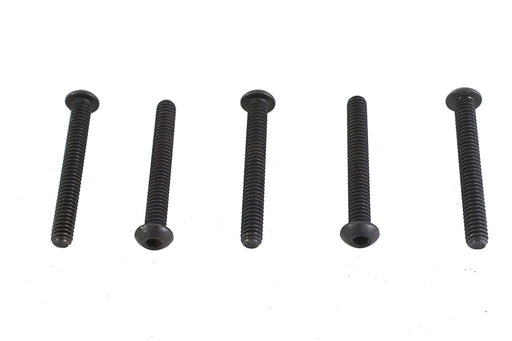 Colony Allen Button Head Screws Black 1/4-20 X 2",Y