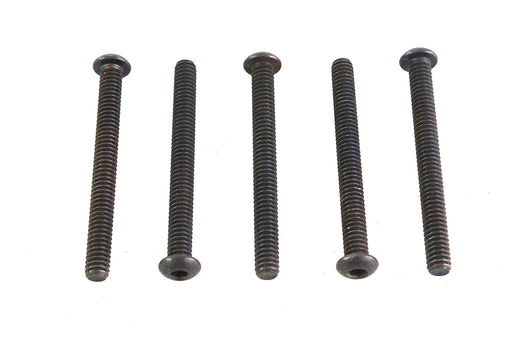 Colony Allen Button Head Screws Black 1/4-20 X 2-1/2",Y