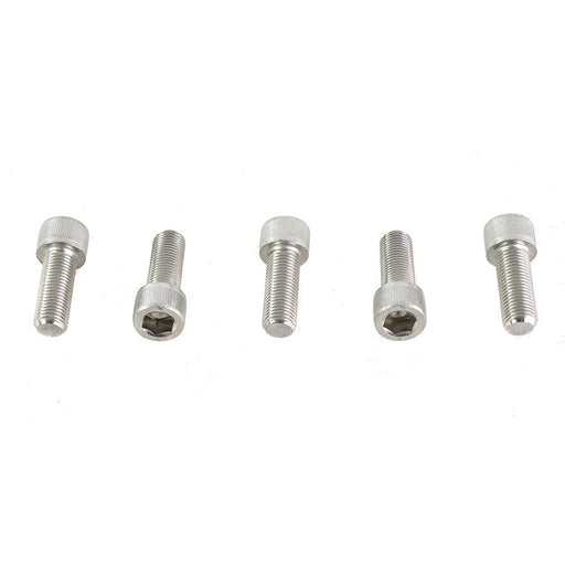 3/8-24 x 1" Allen Socket Cap Screw Stainless Steel - V-Twin 73-0232