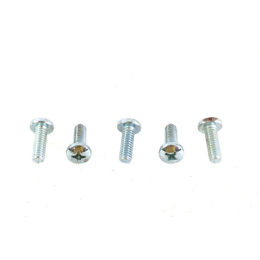 Zinc Phillips Panhead Screws - V-Twin 73-0236