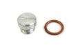 Colony Oil Pump Screen Plug Cadmium