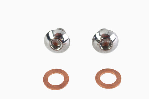 Colony 41mm Fork Slider Drain Screw - additional view 2