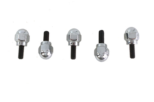 Colony Acorn Screw Kit - additional view 2