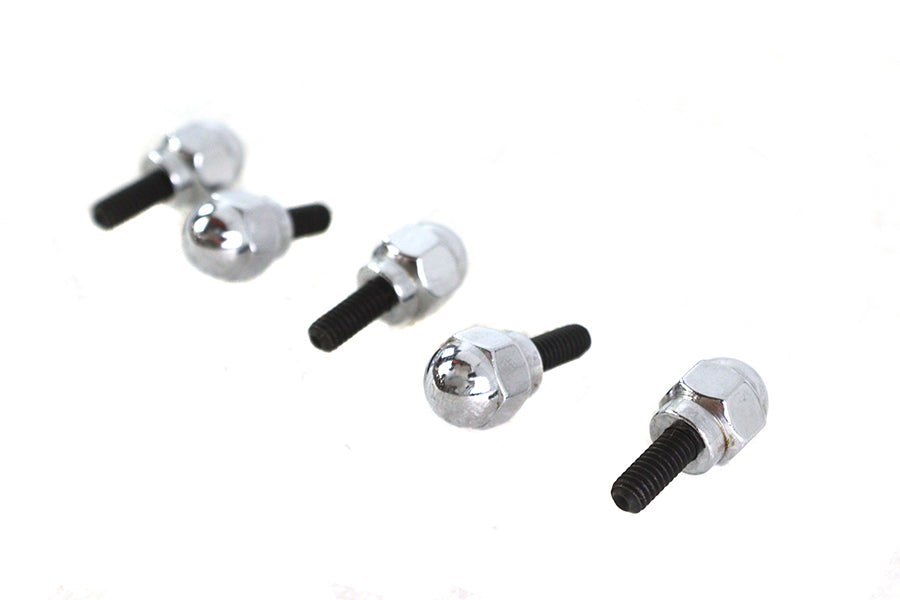 Colony Acorn Screw Kit - additional view 4