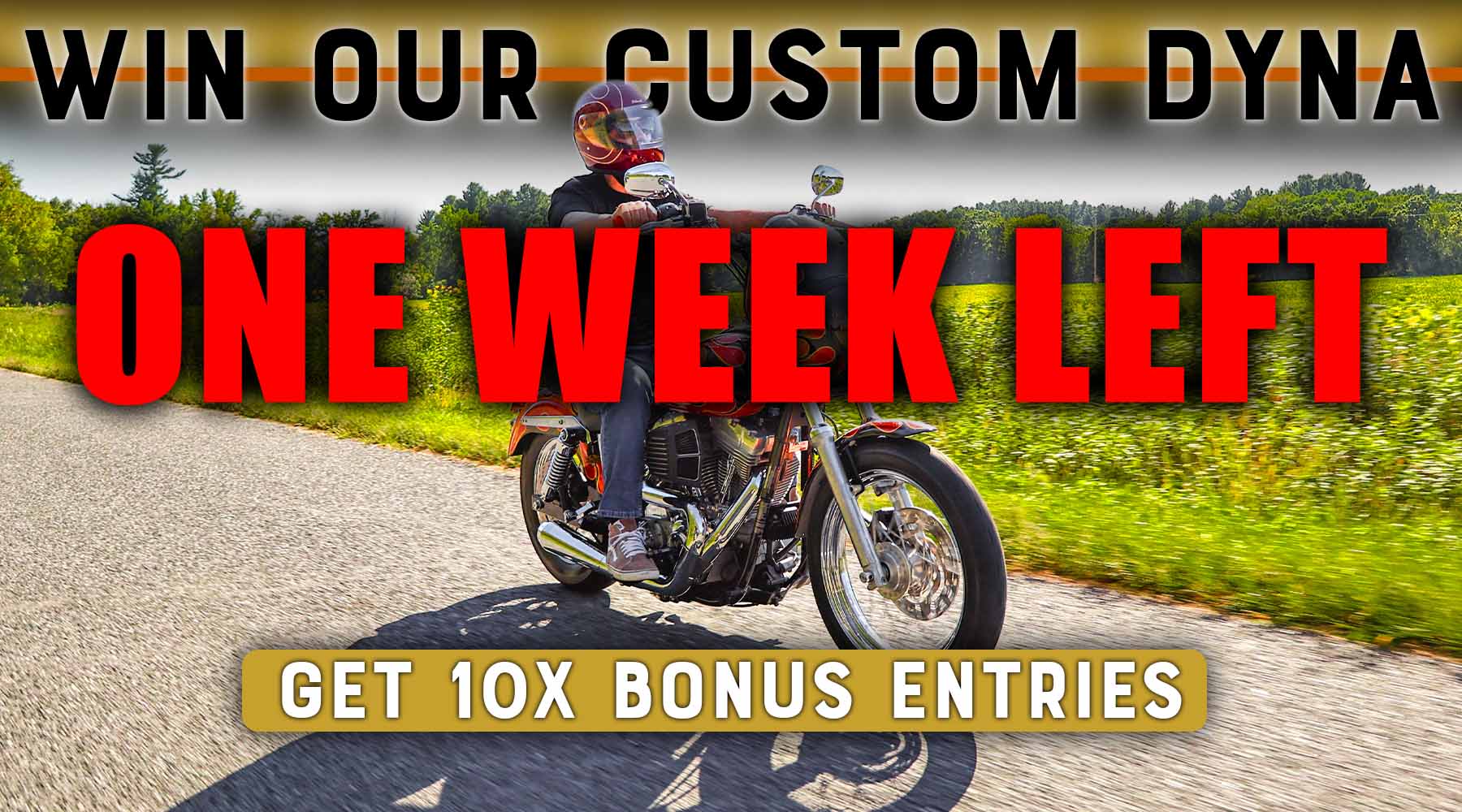 win our custom dyna one week left