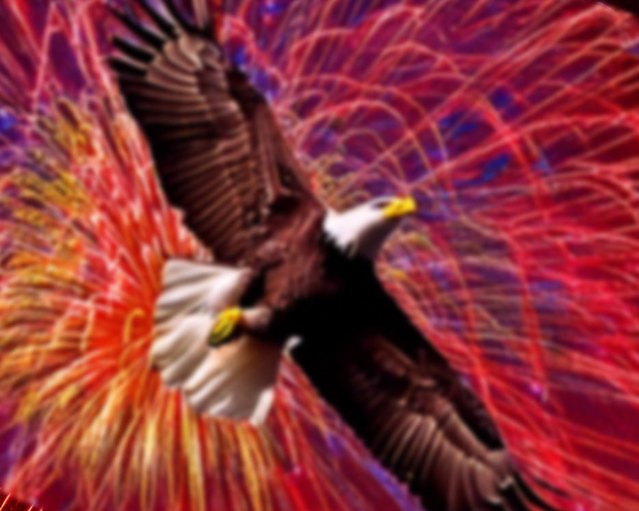 bald eagle and fireworks