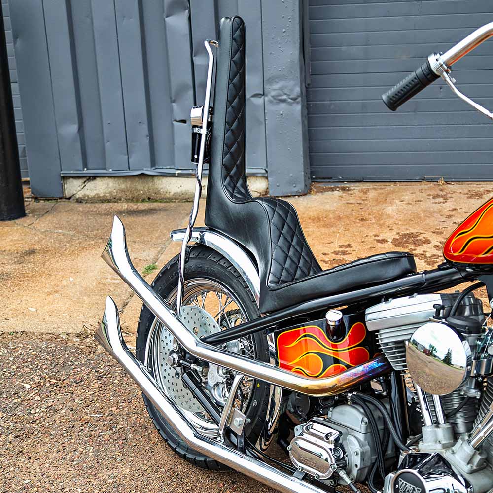 Evo big twin chopper